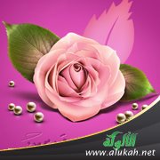 إعانة الأم لأبنائها على الزواج من نصيبها من الميراث