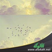 التفاؤل (قصيدة)