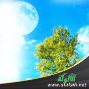 مع الصادقين