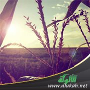 درر الشيخ علي الطنطاوي (11)