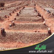 مسائل في عذاب القبر ونعيمه