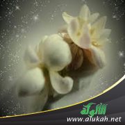 خطيبتي تكره زوجات إخوتي