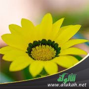 تذكرتها (قصة قصيرة)