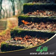 إياكم والجلوس على الطرقات (1)