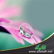 من حكم البلاء (خطبة)