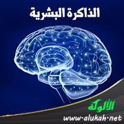 الذاكرة البشرية