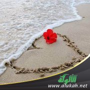 خطيبي لا يهتم بوالدي