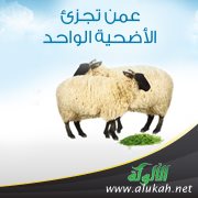 عمن تجزئ الأضحية الواحدة؟