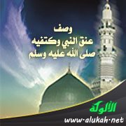 وصف عنق النبي وكتفيه صلى الله عليه وسلم