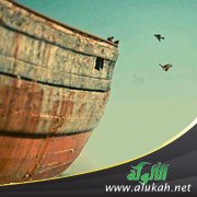 سعادة / السعادة!