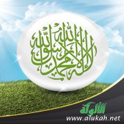 نظرات حول شروط لا إله إلا الله (2)