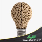 العلاقة بين اللغة والفكر