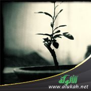 عندما يكون الكلام استثنائيا