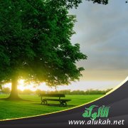 الصباح المنتظر