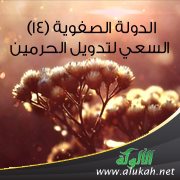 الدولة الصفوية (14) السعي لتدويل الحرمين
