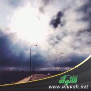قصة واقعية: عاقبة اليقين