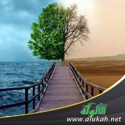 وحين تكون الحياة حياة