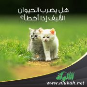 هل يضرب الحيوان الأليف إذا أخطأ؟