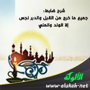 شرح ضابط: جميع ما خرج من القبل والدبر نجس إلا الولد والمني