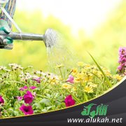 اشهد لهم بالخير لكي يدخلوا الجنة بفضل الله تعالى "شهداء الله سبحانه في الأرض"