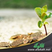 تعريف الأوقاف والمقاصد الشرعية