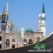 أرجوزة الفوائد المهذبة في أسماء طيبة المطيبة (المدينة المنورة)
