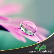 الأخلاق في الإسلام