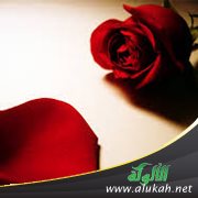زميلة زوجي في العمل تلاحقه