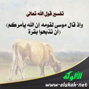 تفسير: (وإذ قال موسى لقومه إن الله يأمركم أن تذبحوا بقرة)