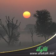 من لا يفكر بالضباب؟ (قصيدة تفعيلة)