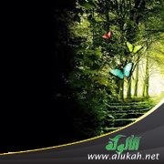 عندما تحلق الروح (خاطرة)