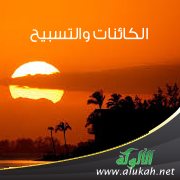 الكائنات والتسبيح