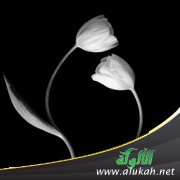 رفقا بالرجال أيتها القوارير! (قصيدة)