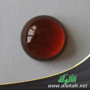 محبة الرسول صلى الله عليه وسلم في طاعته (خطبة)