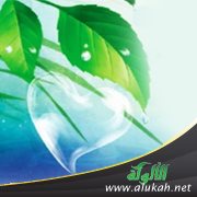 كيف يزيد الإيمان وينقص؟