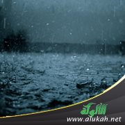 المطر والضرر