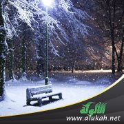 تأملات تربوية في الشتاء