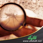 حمى الضنك والحميات المنتشرة (خطبة)