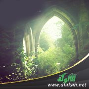 عصابة الرداء الأبيض
