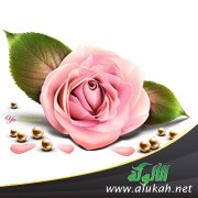التفاؤل زهرة وردية (قصة رمزية)