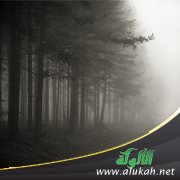 انهارت كل الجدر إلا واحدا