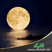 خواطر تحت ضوء القمر