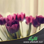 صباحات أتمناها (قصيدة)