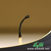 الفتور الدعوي بسبب تغير البيئة