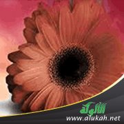 كيف أتعفف عن الحرام؟