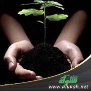 دور الإيجابية في حياتنا