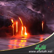 تخاصم أهل النار (خطبة)