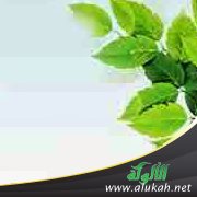 لا تلم النصوح (قصيدة)