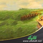 أختي ستجلب لنا العار بسبب طيشها