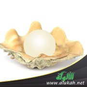 اللؤلؤ والمرجان من صفات أهل الإيمان